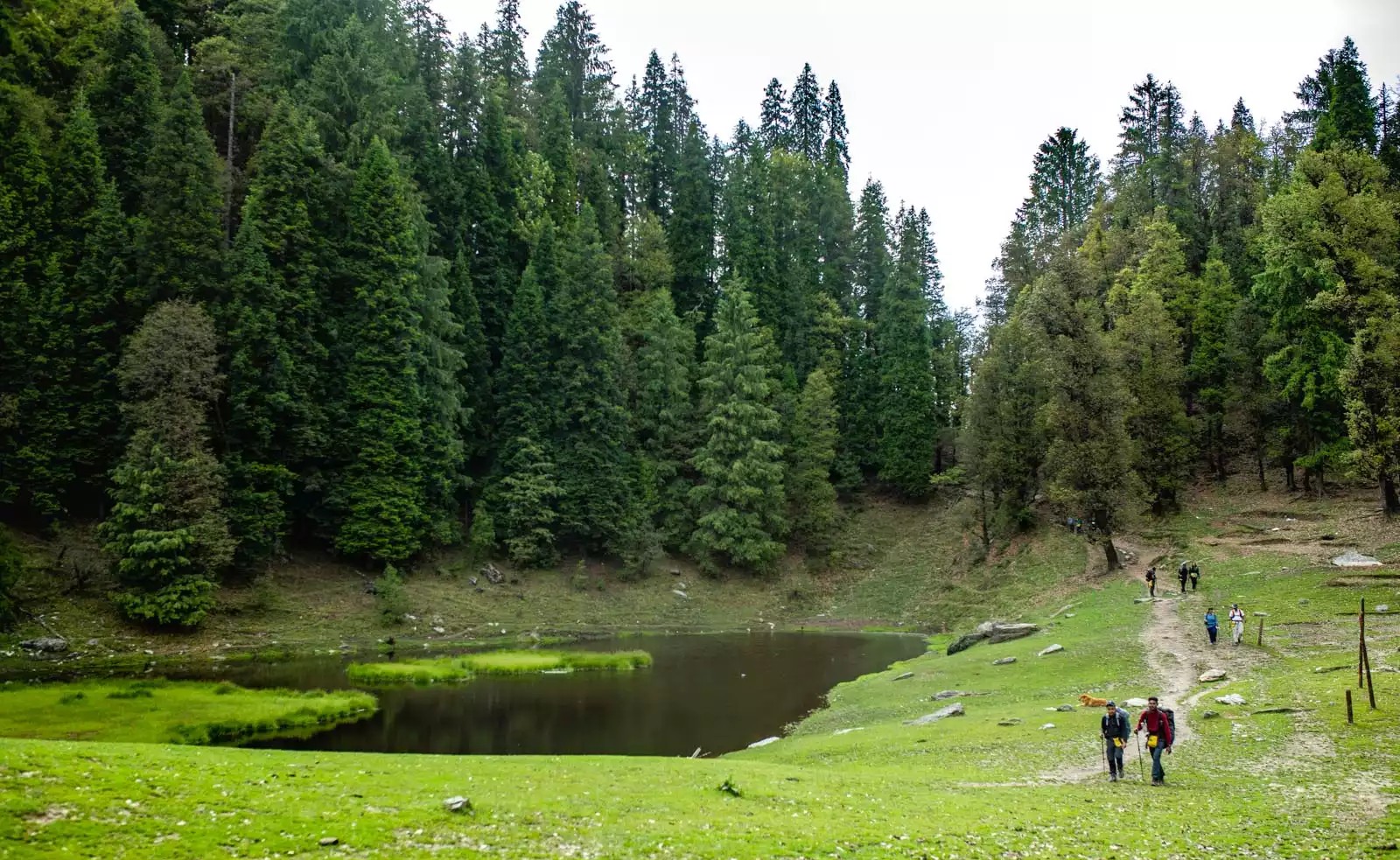 Trek Image 3