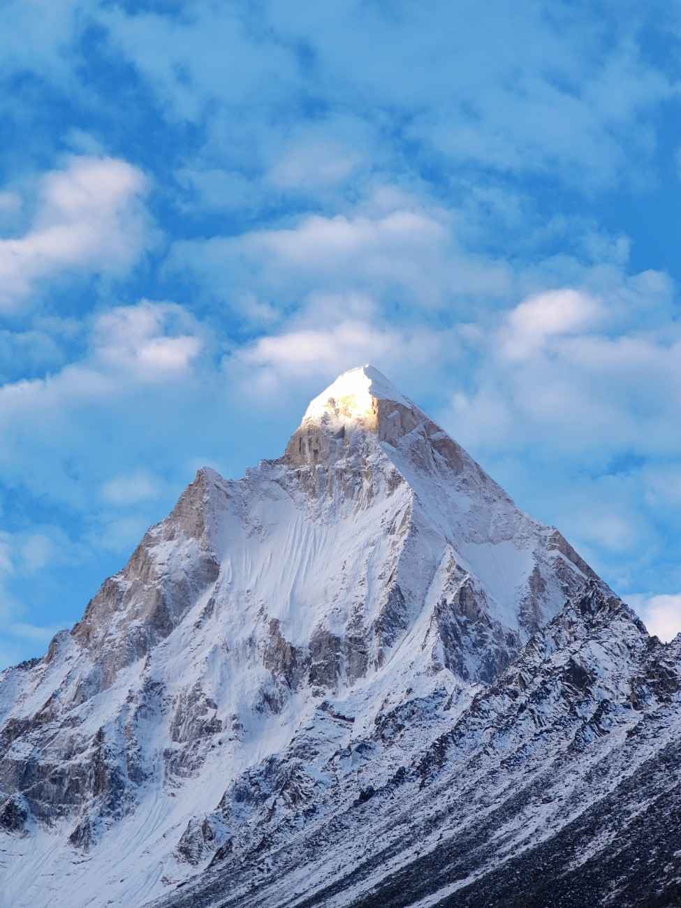 Trek Image 4
