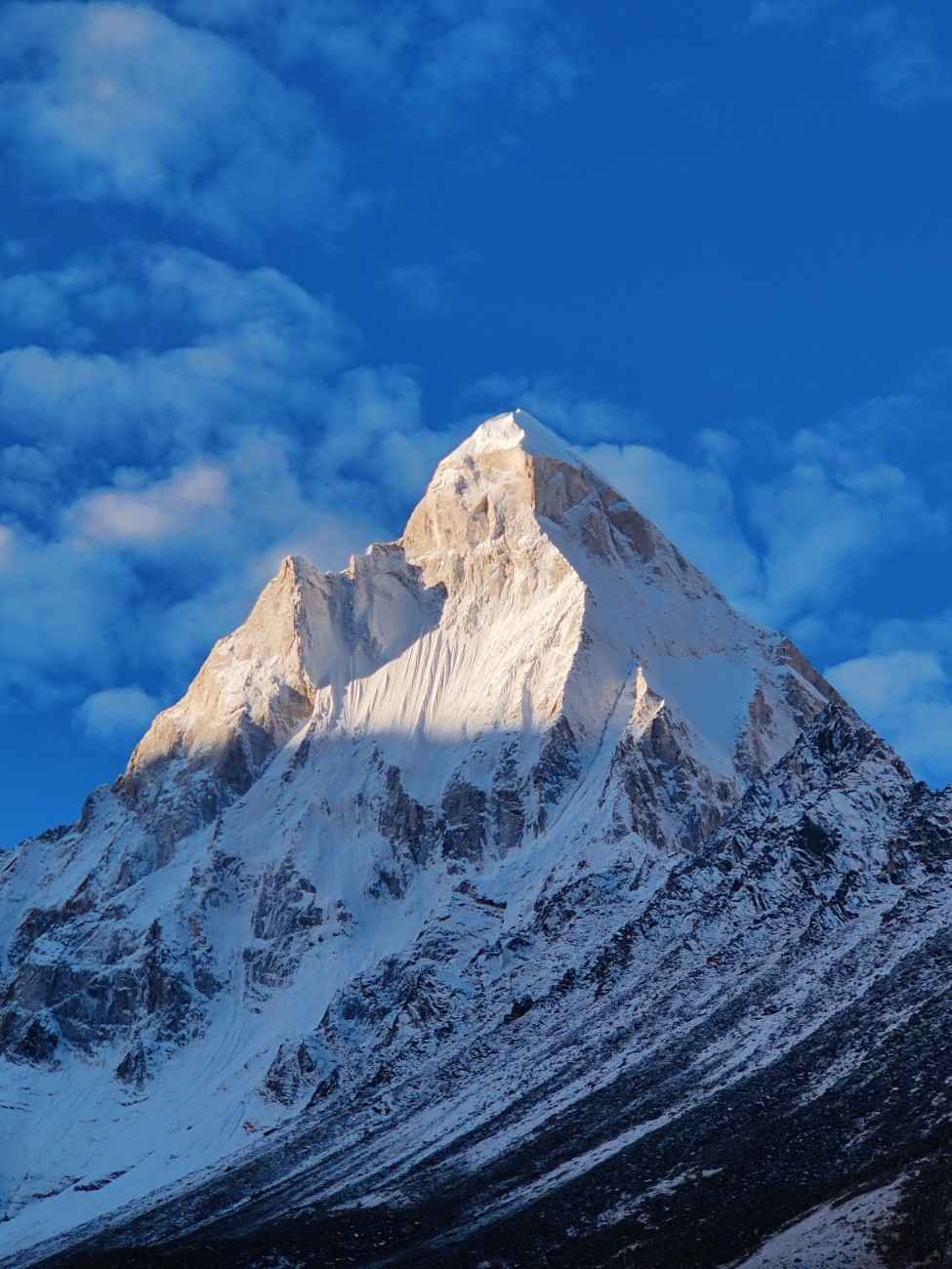 Trek Image 5