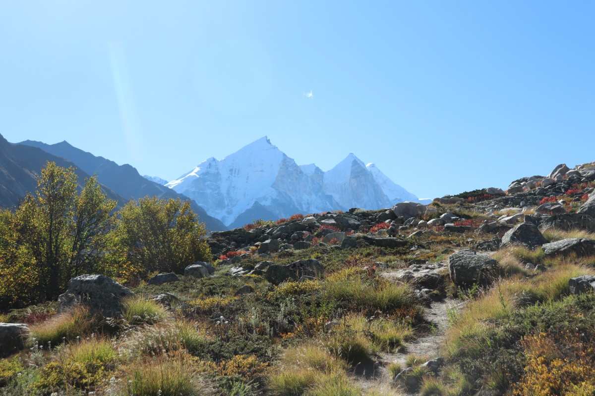 Trek Image 8