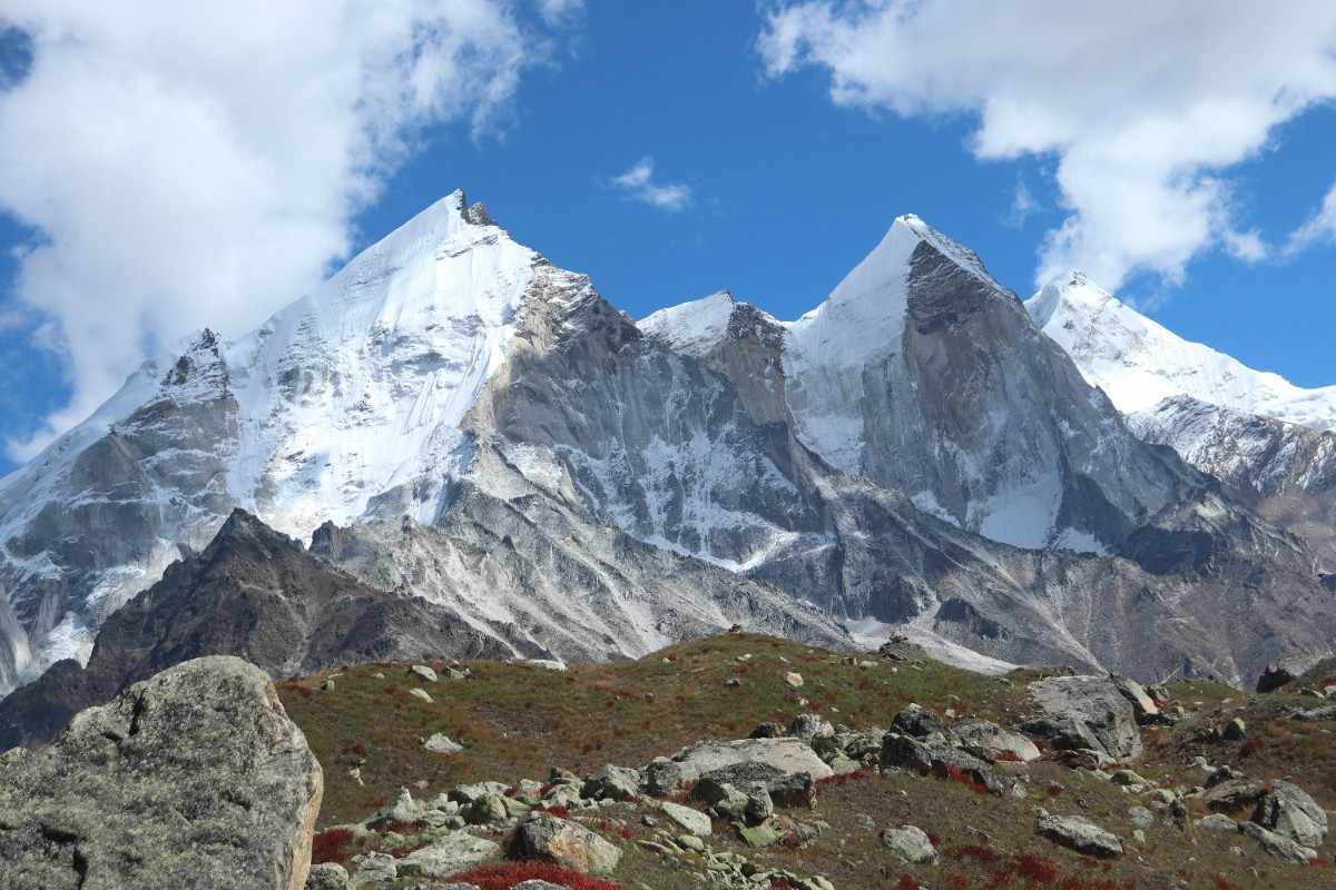 Trek Image 11
